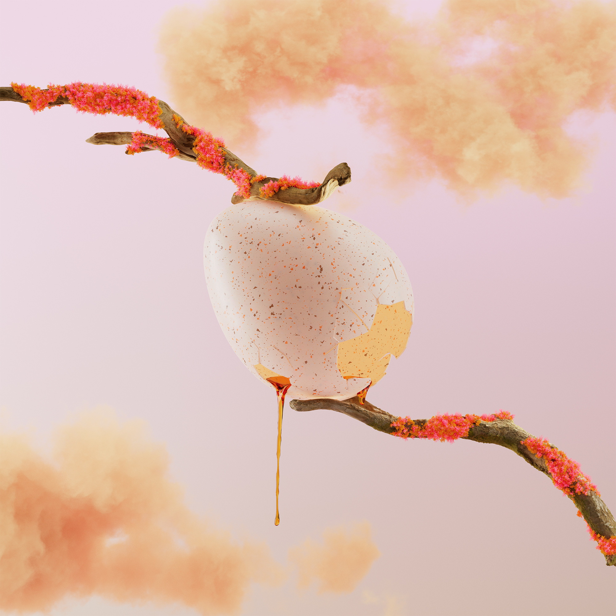 egg_balance