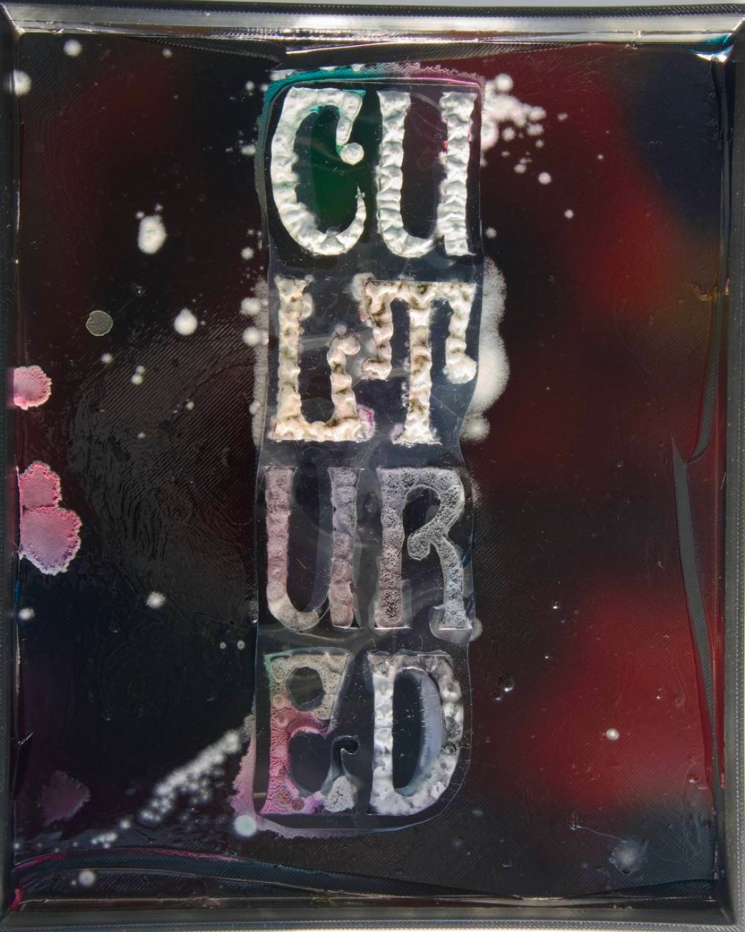 @dashaplesen for @offfest x @uncommon.creative.studio , presenting Cultured —a living identity,