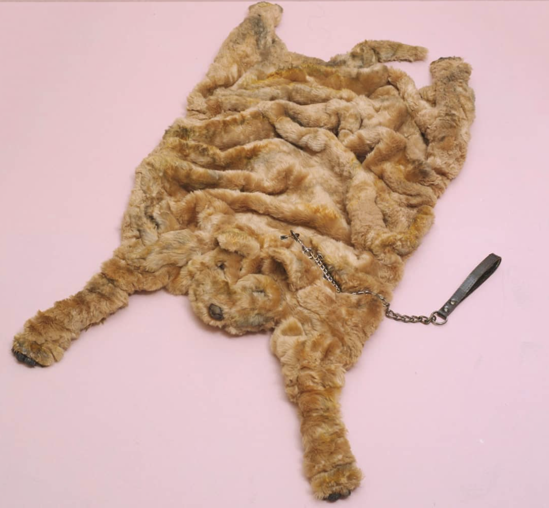 Perro Alfombra - Joel Blanco
